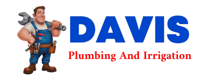 Trusted plumber in DANE